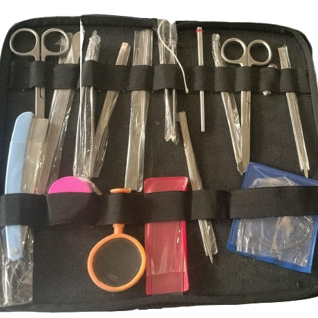 DISSECTION INSTRUMENT SET